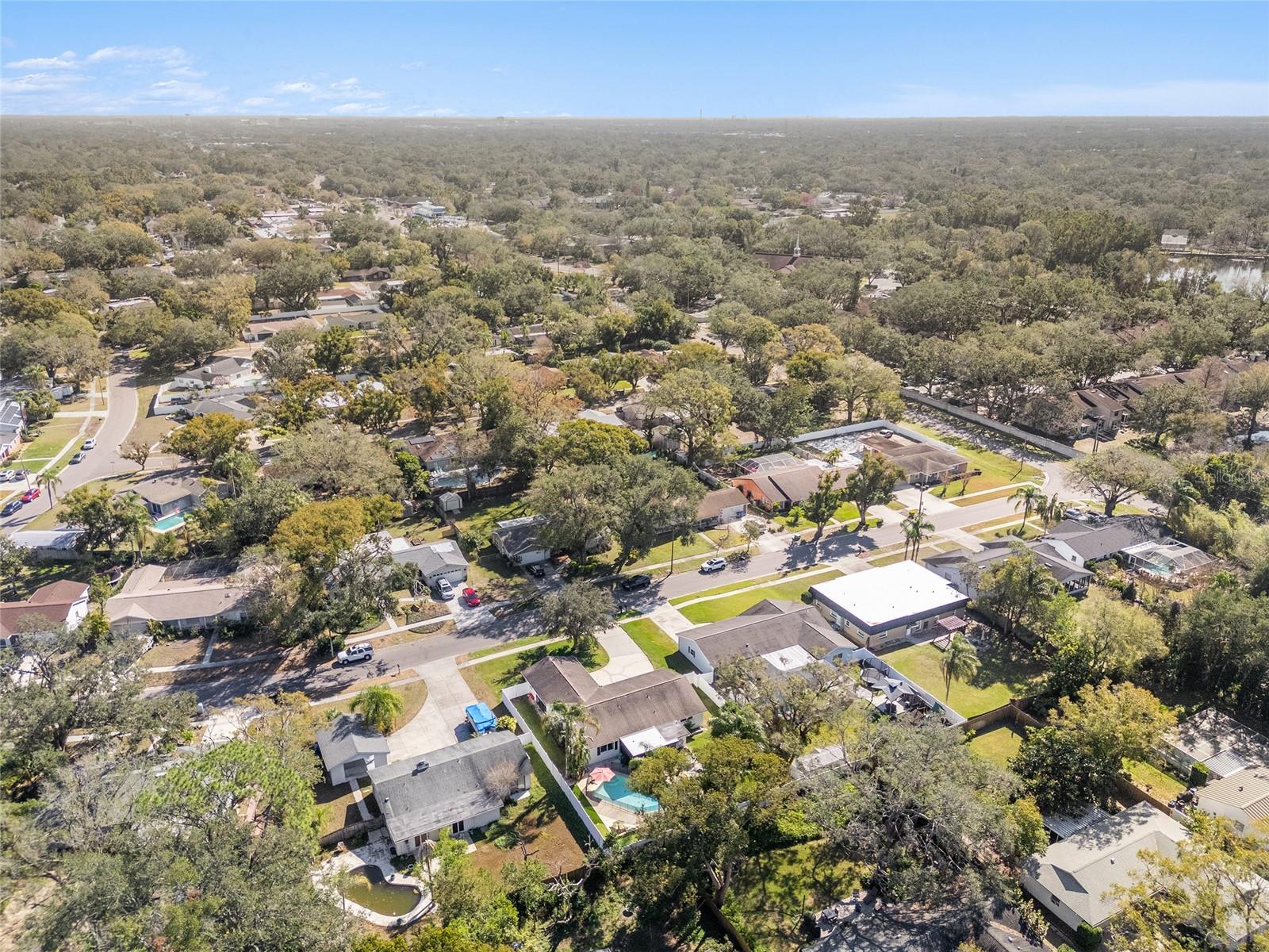 13510 SHADY SHORES DR, TAMPA, FL, 33613