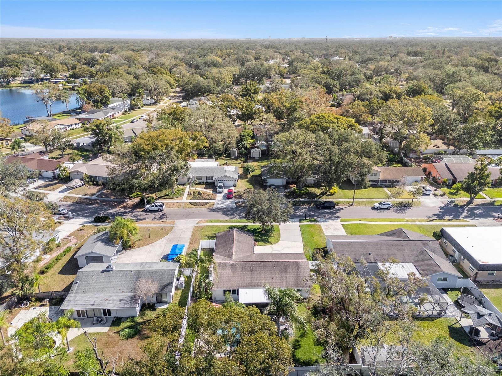 13510 SHADY SHORES DR, TAMPA, FL, 33613