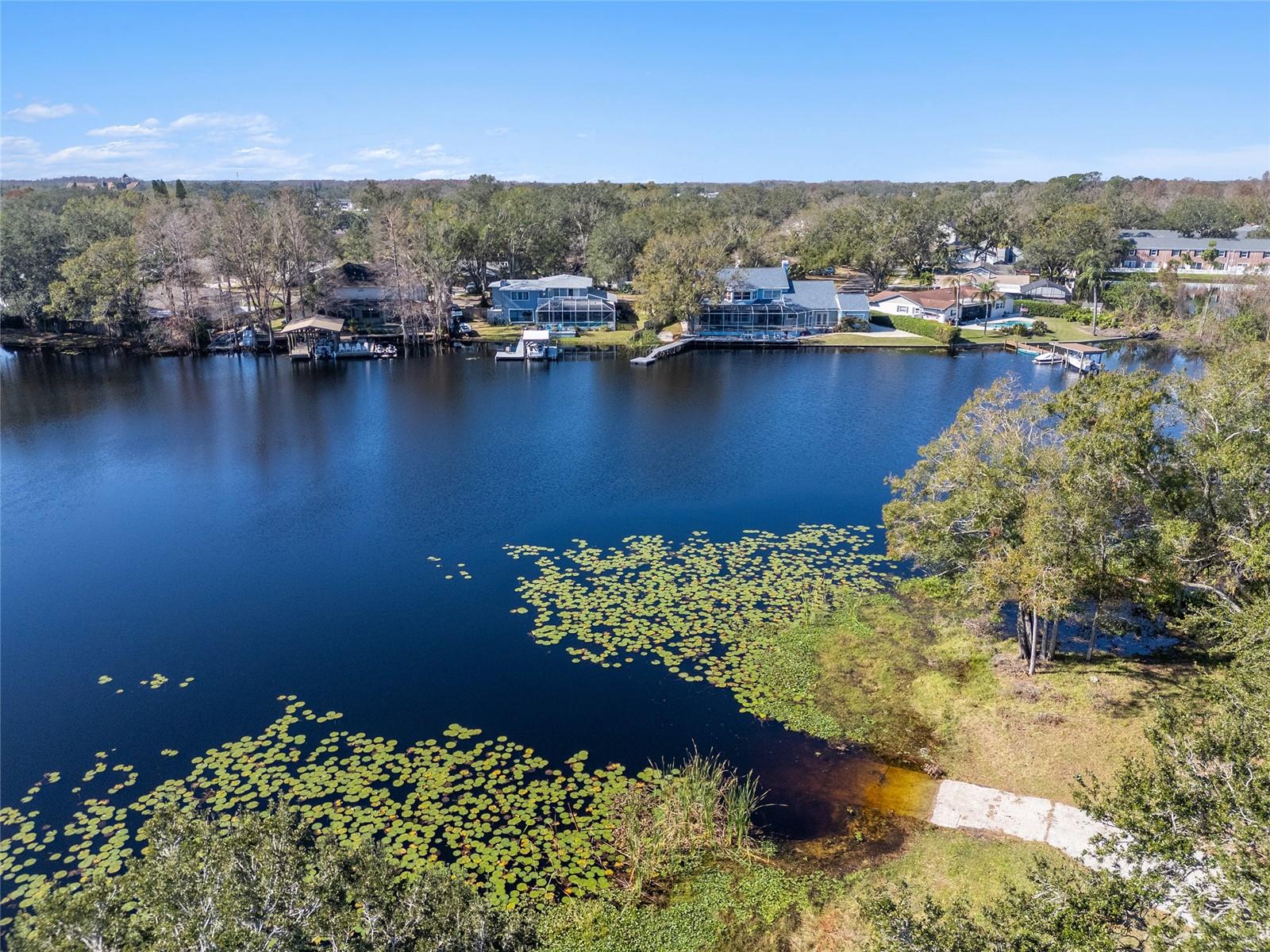 13510 SHADY SHORES DR, TAMPA, FL, 33613
