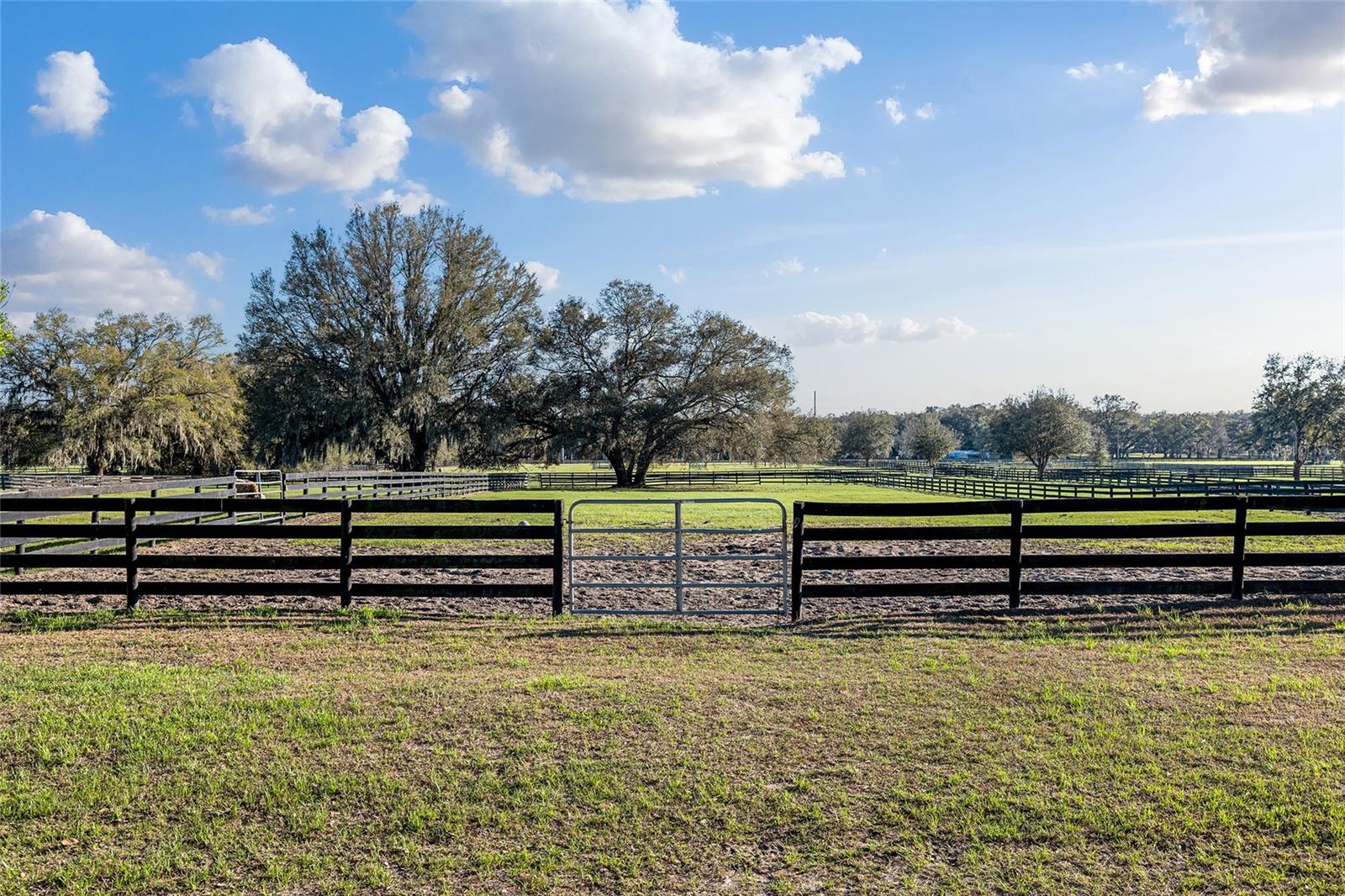 815 SE 145TH ST, SUMMERFIELD, FL, 34491