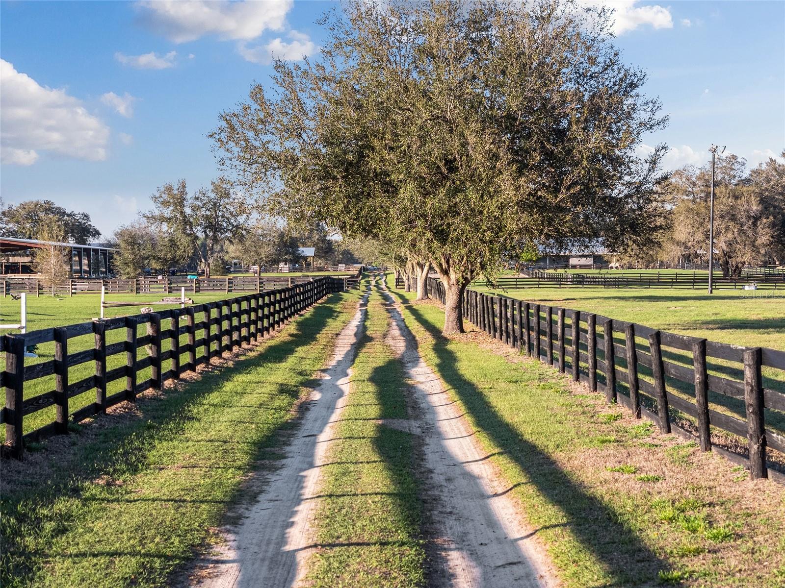 815 SE 145TH ST, SUMMERFIELD, FL, 34491