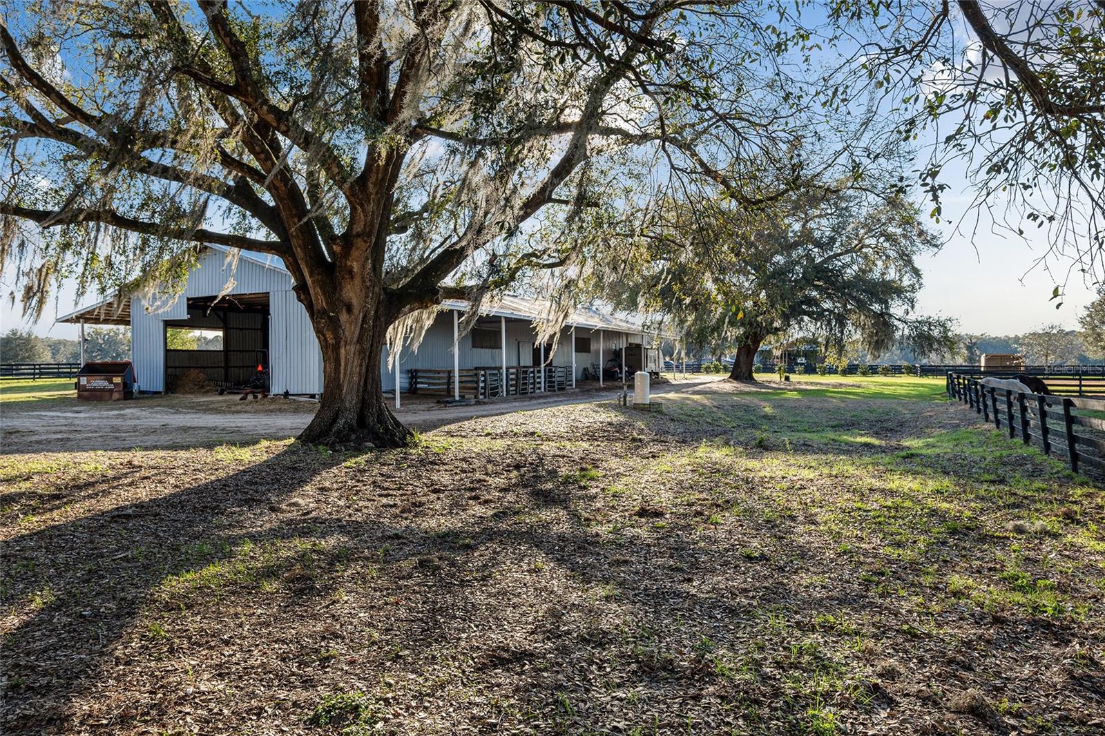 815 SE 145TH ST, SUMMERFIELD, FL, 34491