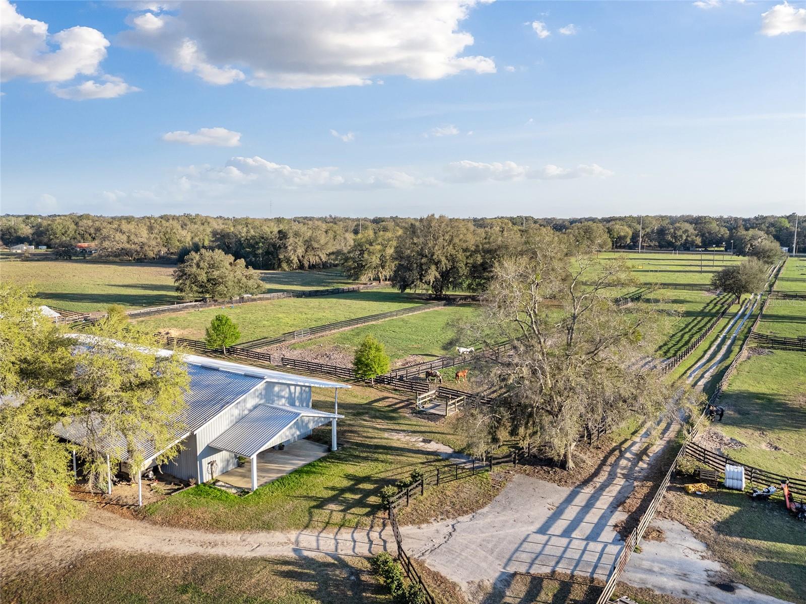 815 SE 145TH ST, SUMMERFIELD, FL, 34491