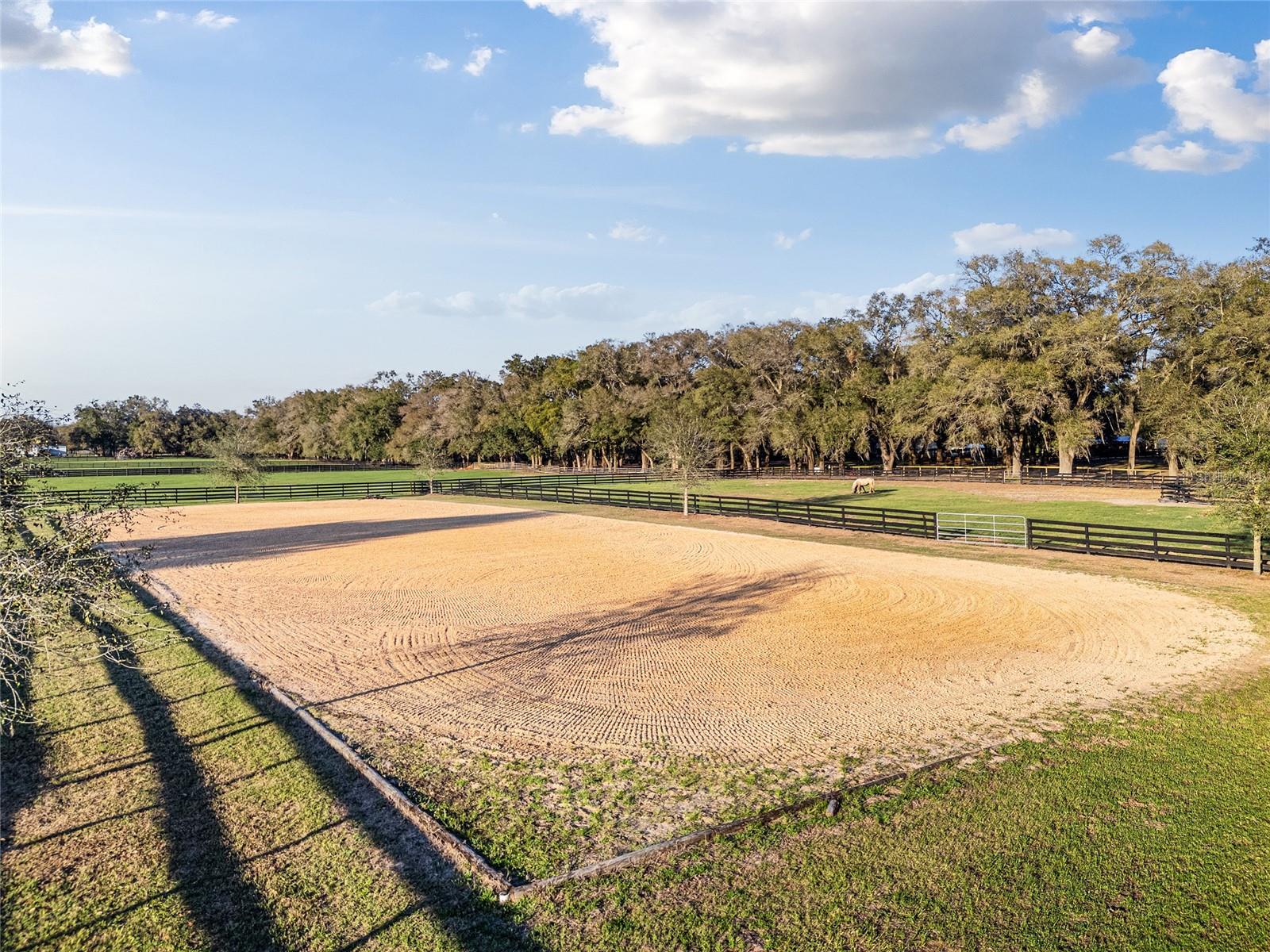 815 SE 145TH ST, SUMMERFIELD, FL, 34491