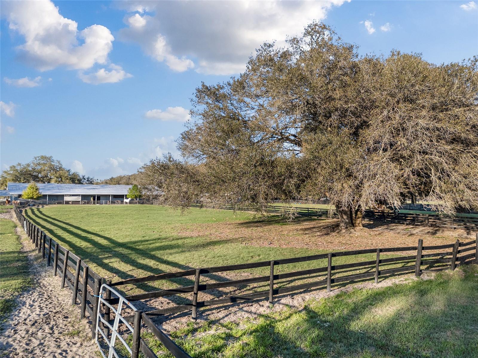 815 SE 145TH ST, SUMMERFIELD, FL, 34491