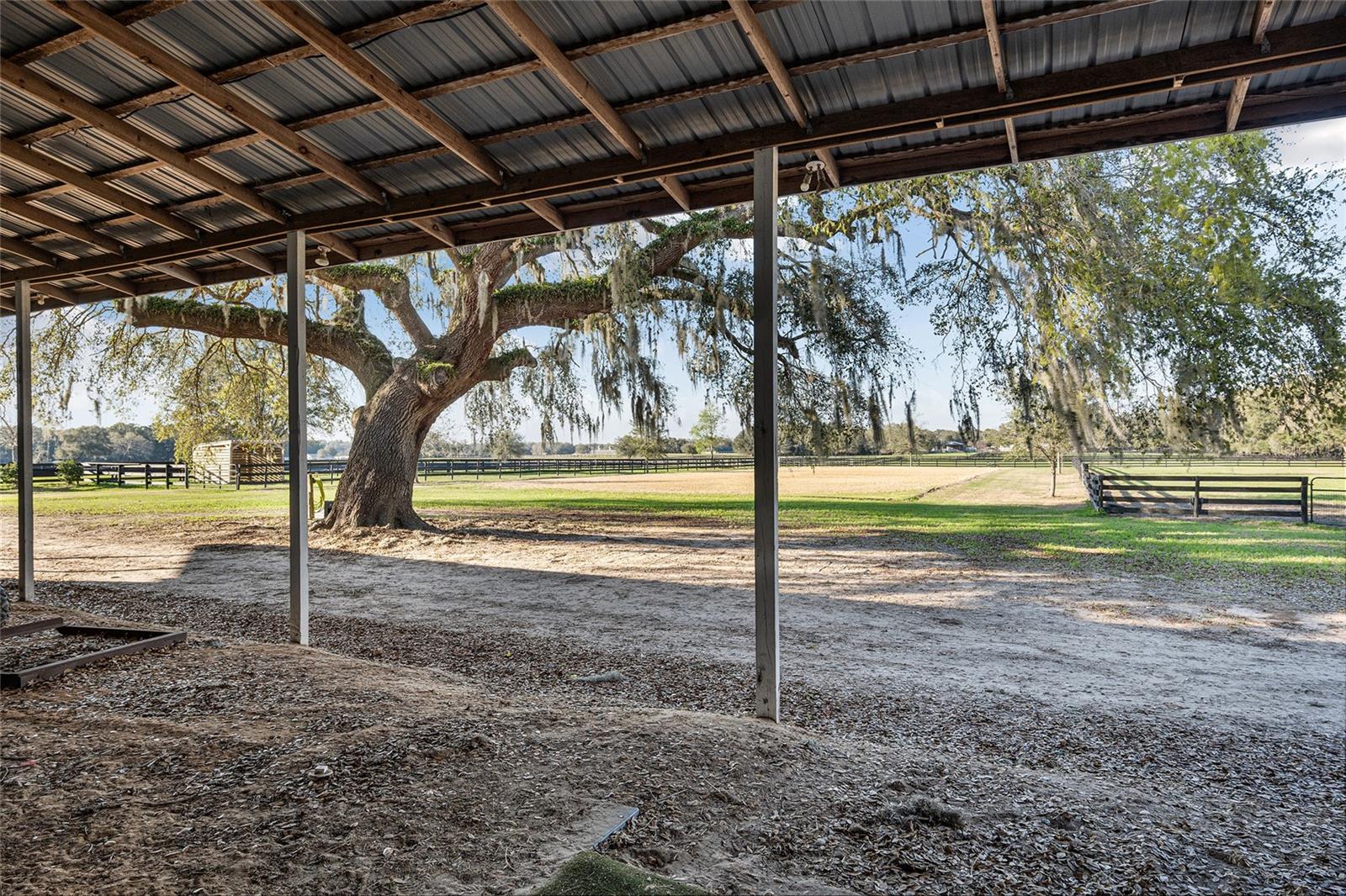 815 SE 145TH ST, SUMMERFIELD, FL, 34491