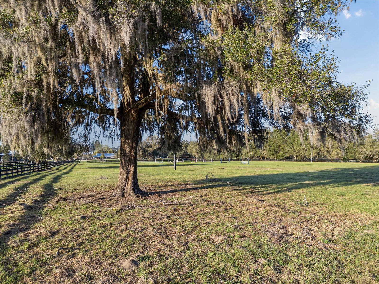 815 SE 145TH ST, SUMMERFIELD, FL, 34491