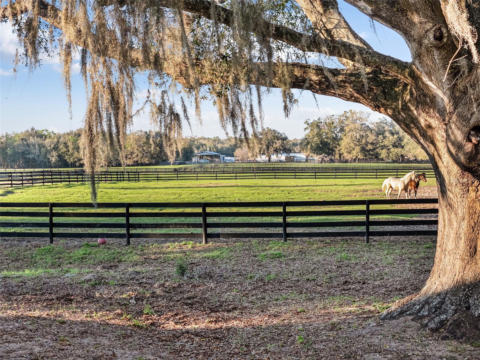 815 SE 145TH ST, SUMMERFIELD, FL, 34491