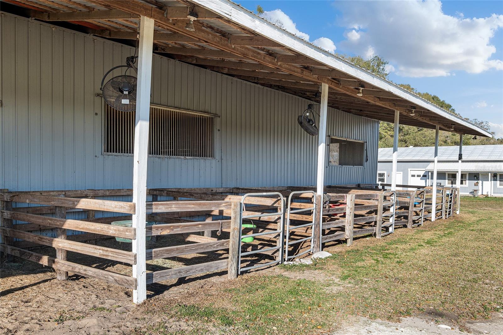 815 SE 145TH ST, SUMMERFIELD, FL, 34491