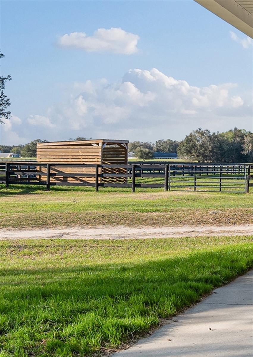 815 SE 145TH ST, SUMMERFIELD, FL, 34491