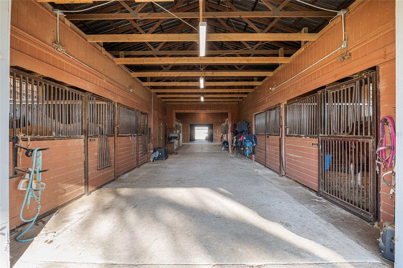 815 SE 145TH ST, SUMMERFIELD, FL, 34491