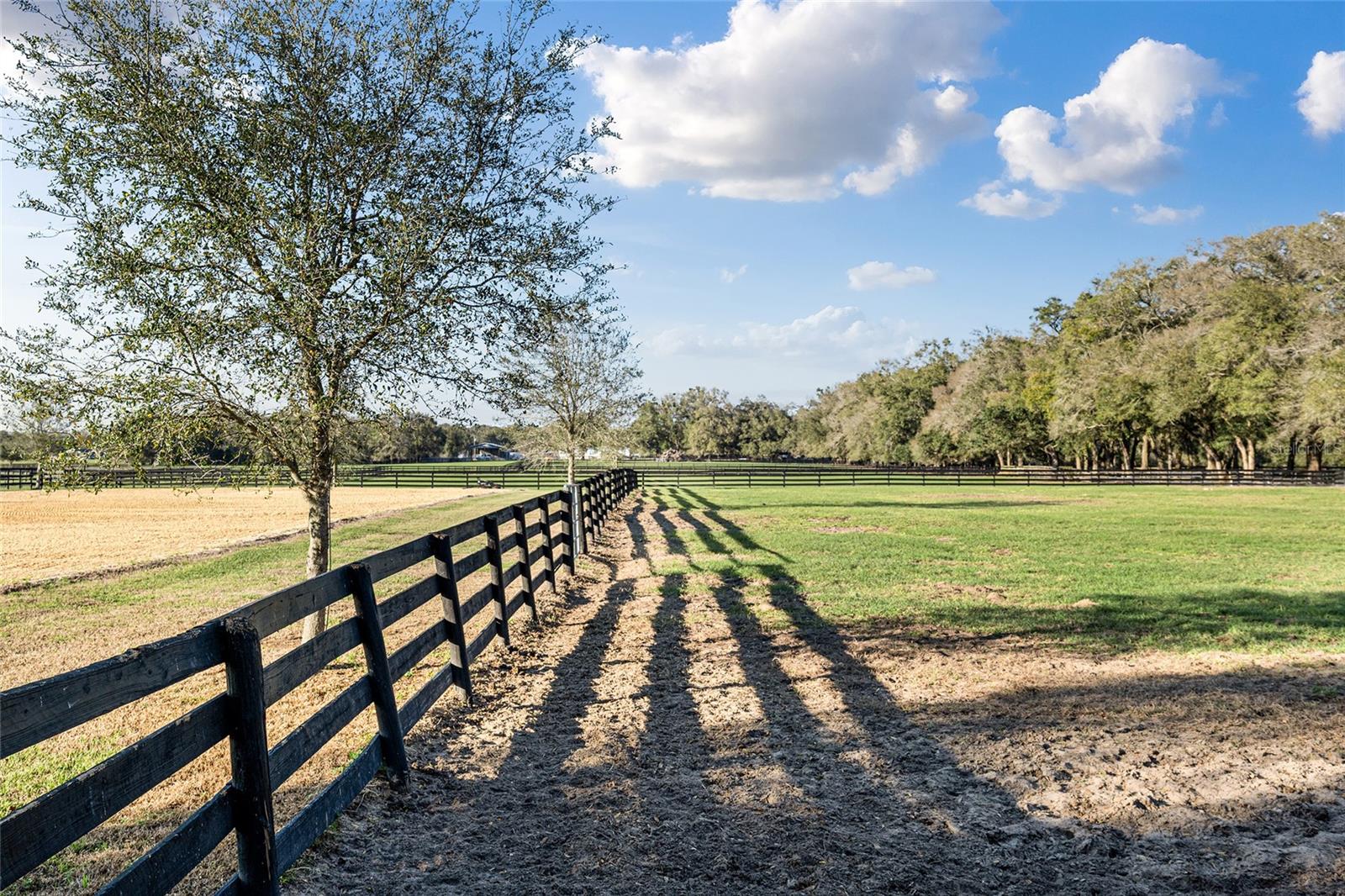 815 SE 145TH ST, SUMMERFIELD, FL, 34491