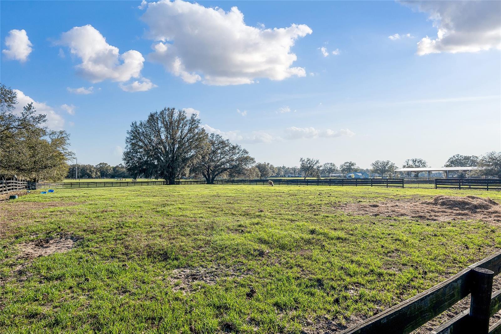 815 SE 145TH ST, SUMMERFIELD, FL, 34491