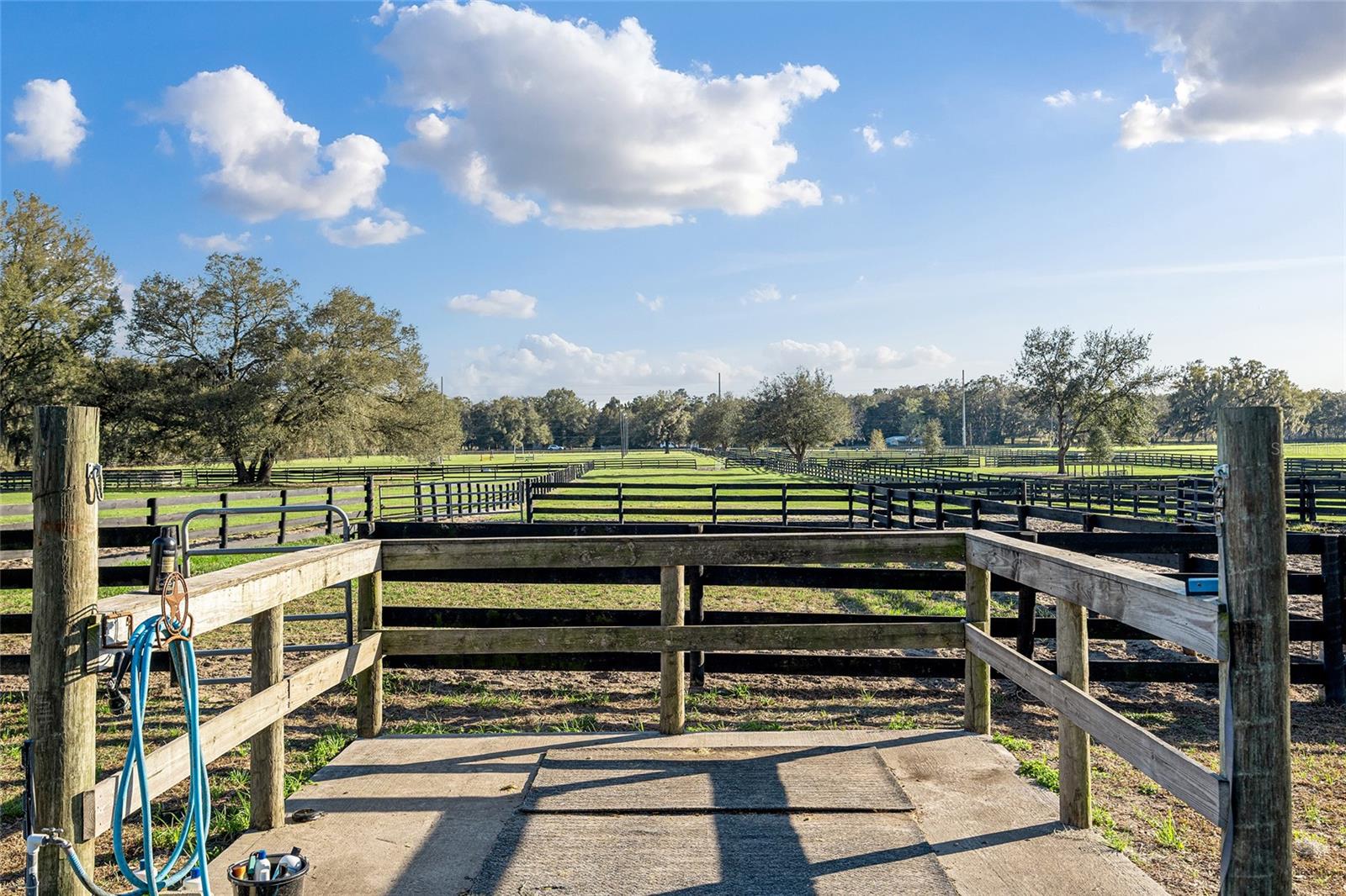 815 SE 145TH ST, SUMMERFIELD, FL, 34491