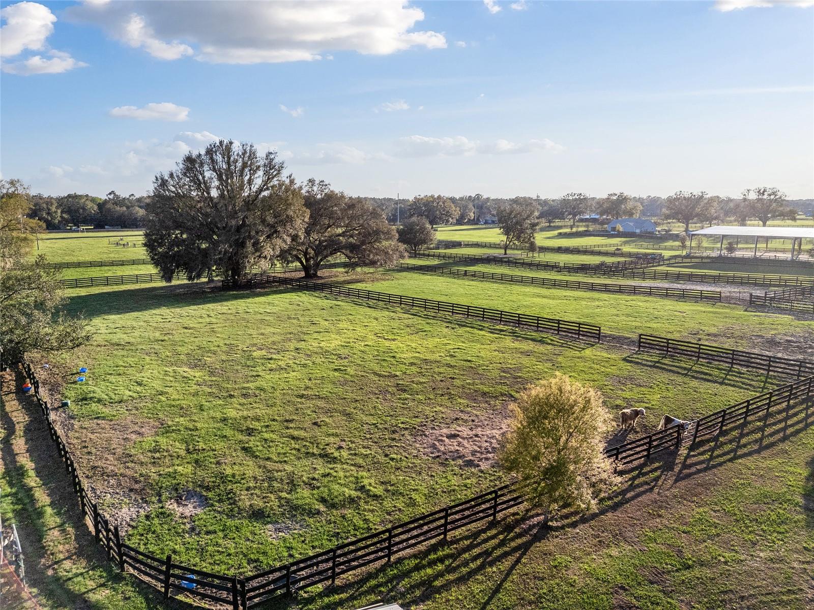 815 SE 145TH ST, SUMMERFIELD, FL, 34491