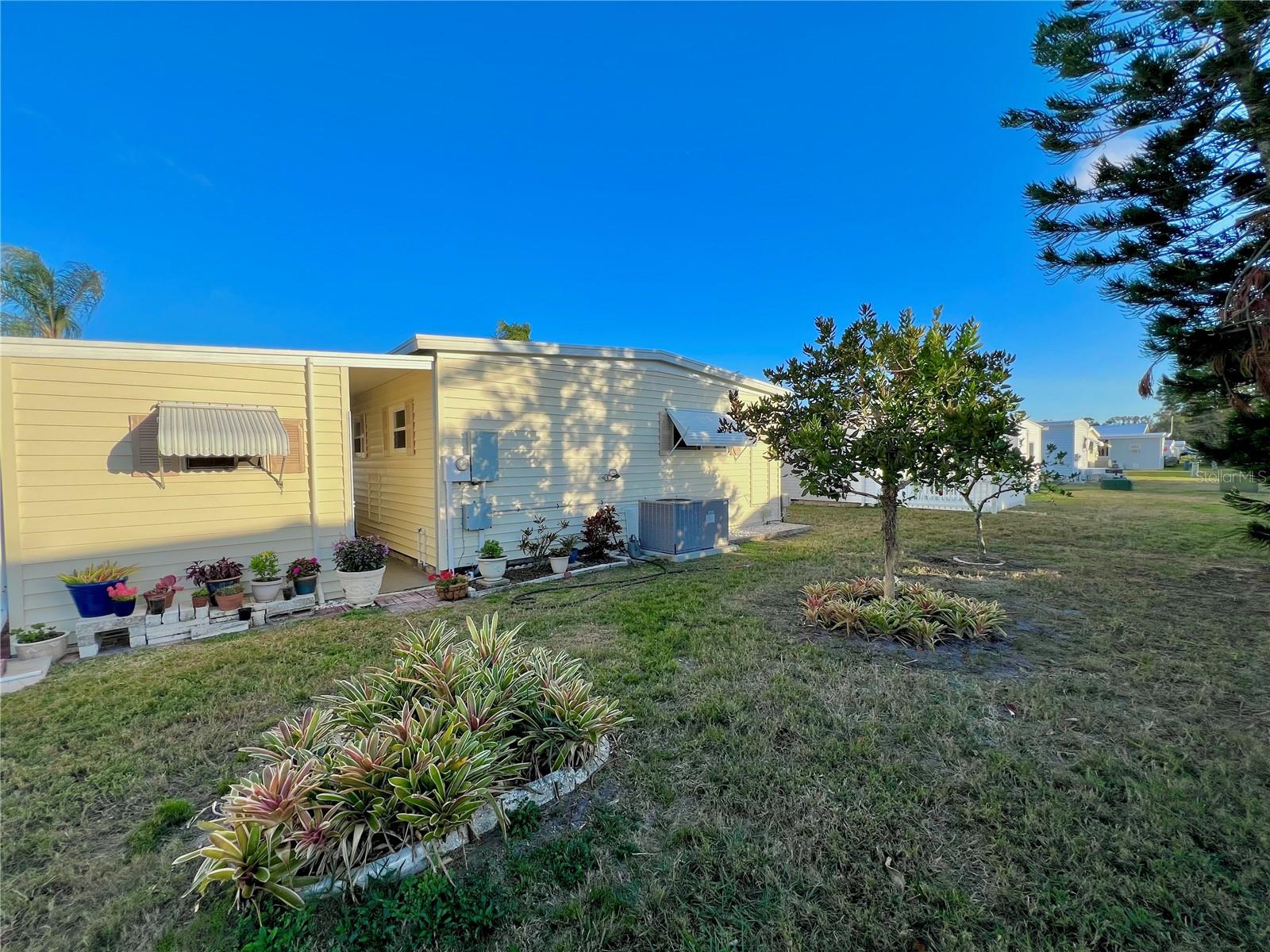 1100 BELCHER RD S #227, LARGO, FL, 33771