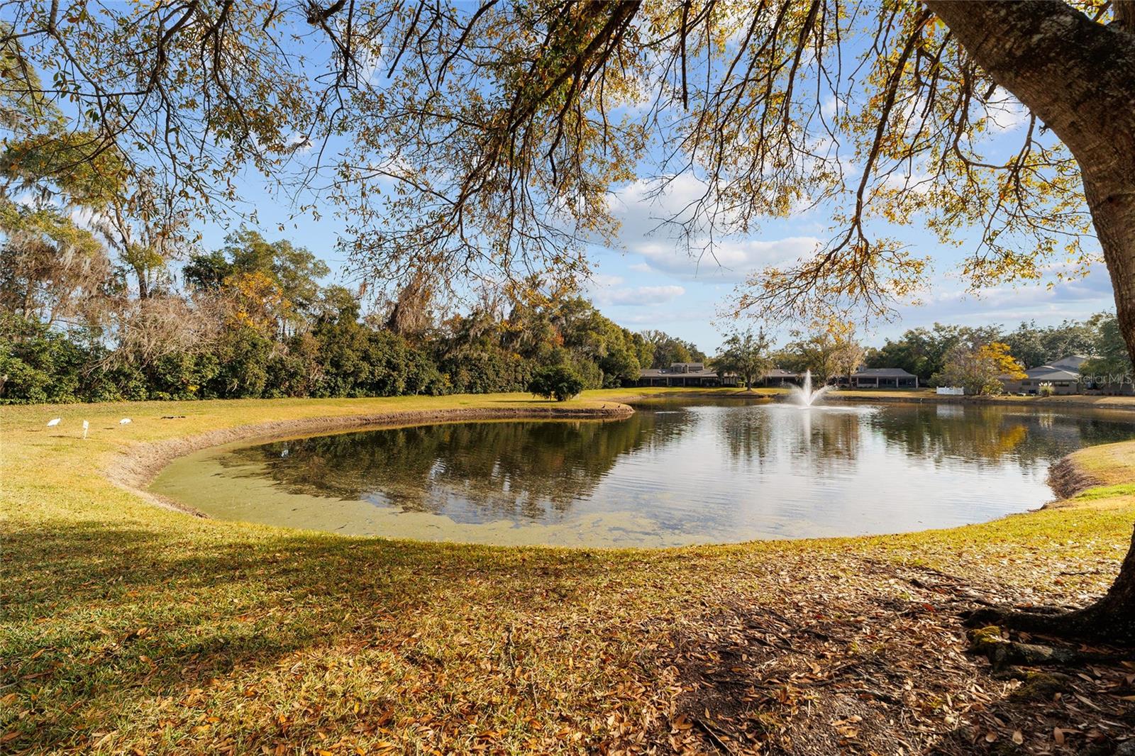 1795 SE CLATTER BRIDGE RD #1795, OCALA, FL, 34471