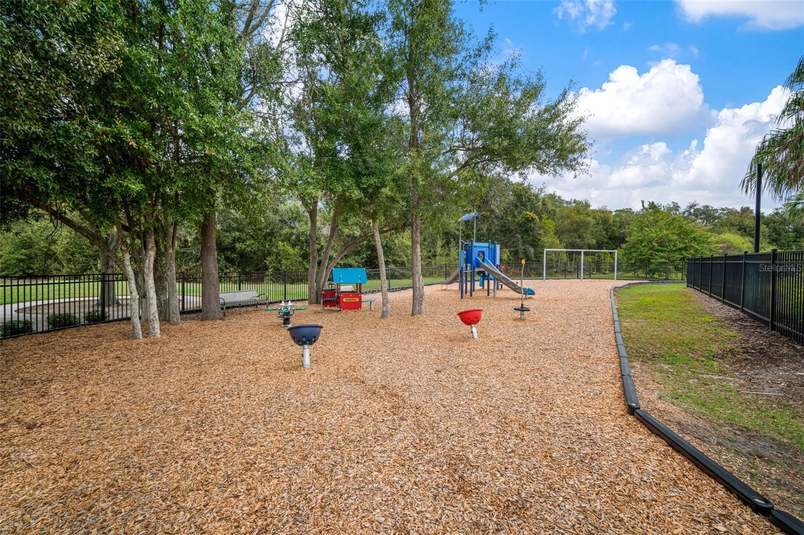 10641 CARDERA DR, RIVERVIEW, FL, 33578