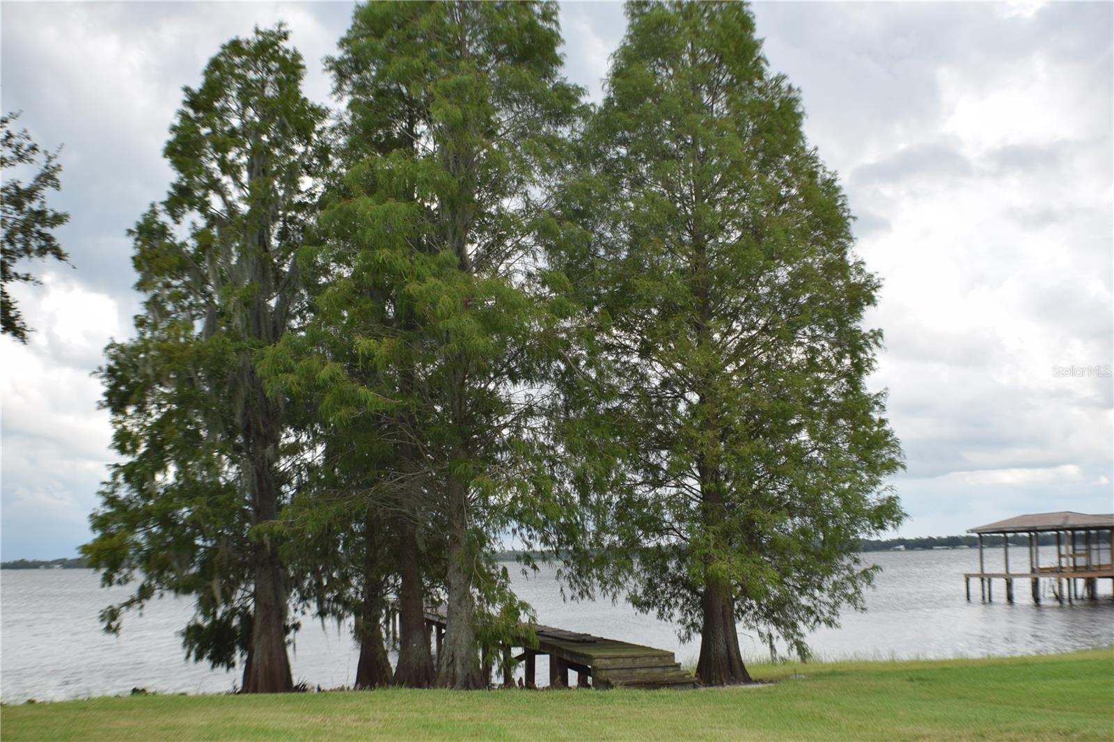 7896 N LAKE BUFFUM SHORE RD, FORT MEADE, FL, 33841