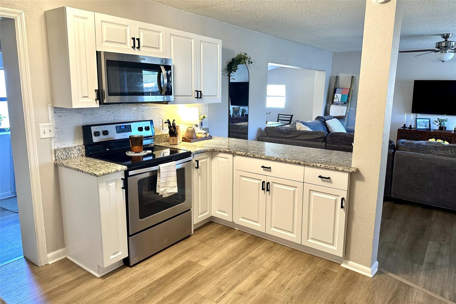 228 AZALEA ST, LAKELAND, FL, 33803