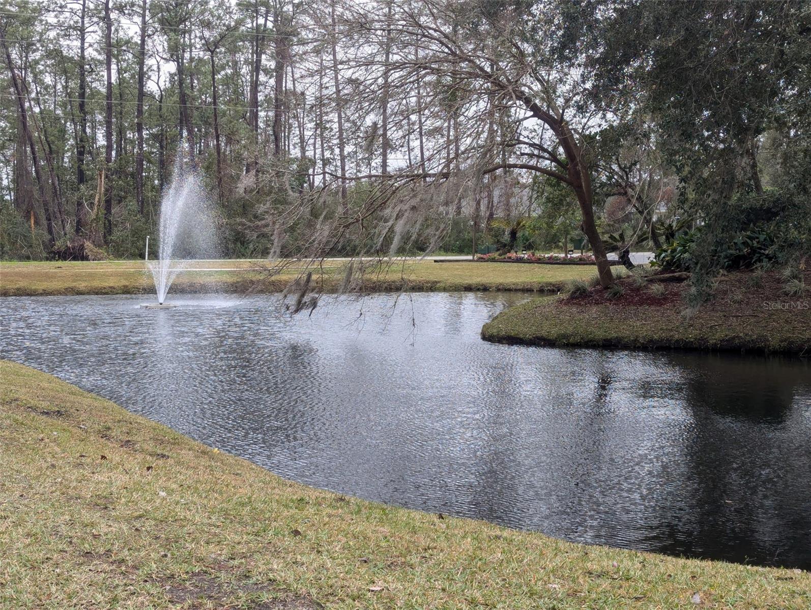 2996 TURTLE DOVE TRL, DELAND, FL, 32724