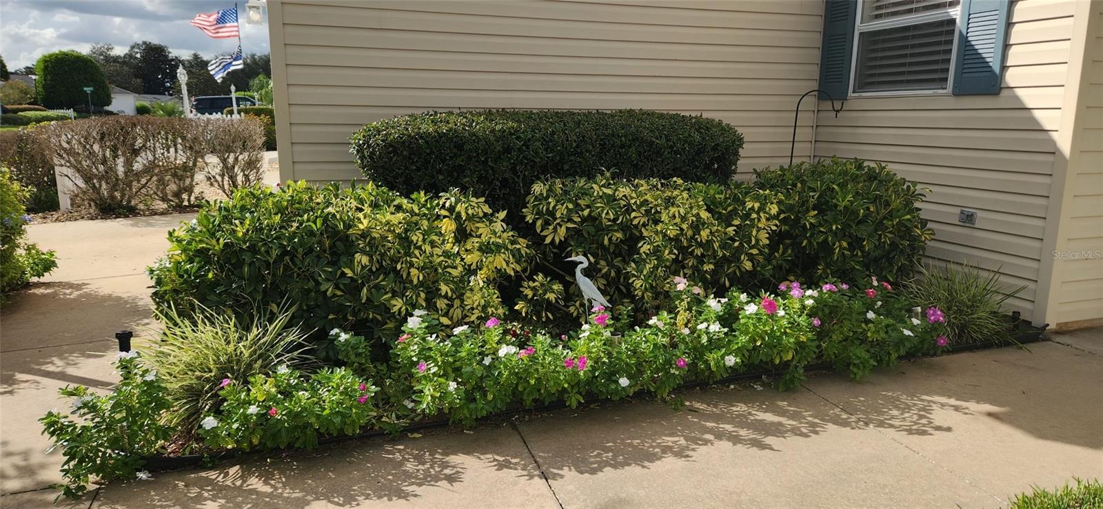 482 HILDALGO DR, THE VILLAGES, FL, 32159