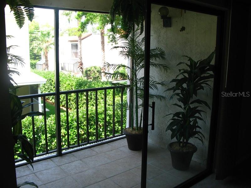 2971 ESTANCIA BLVD #429, CLEARWATER, FL, 33761
