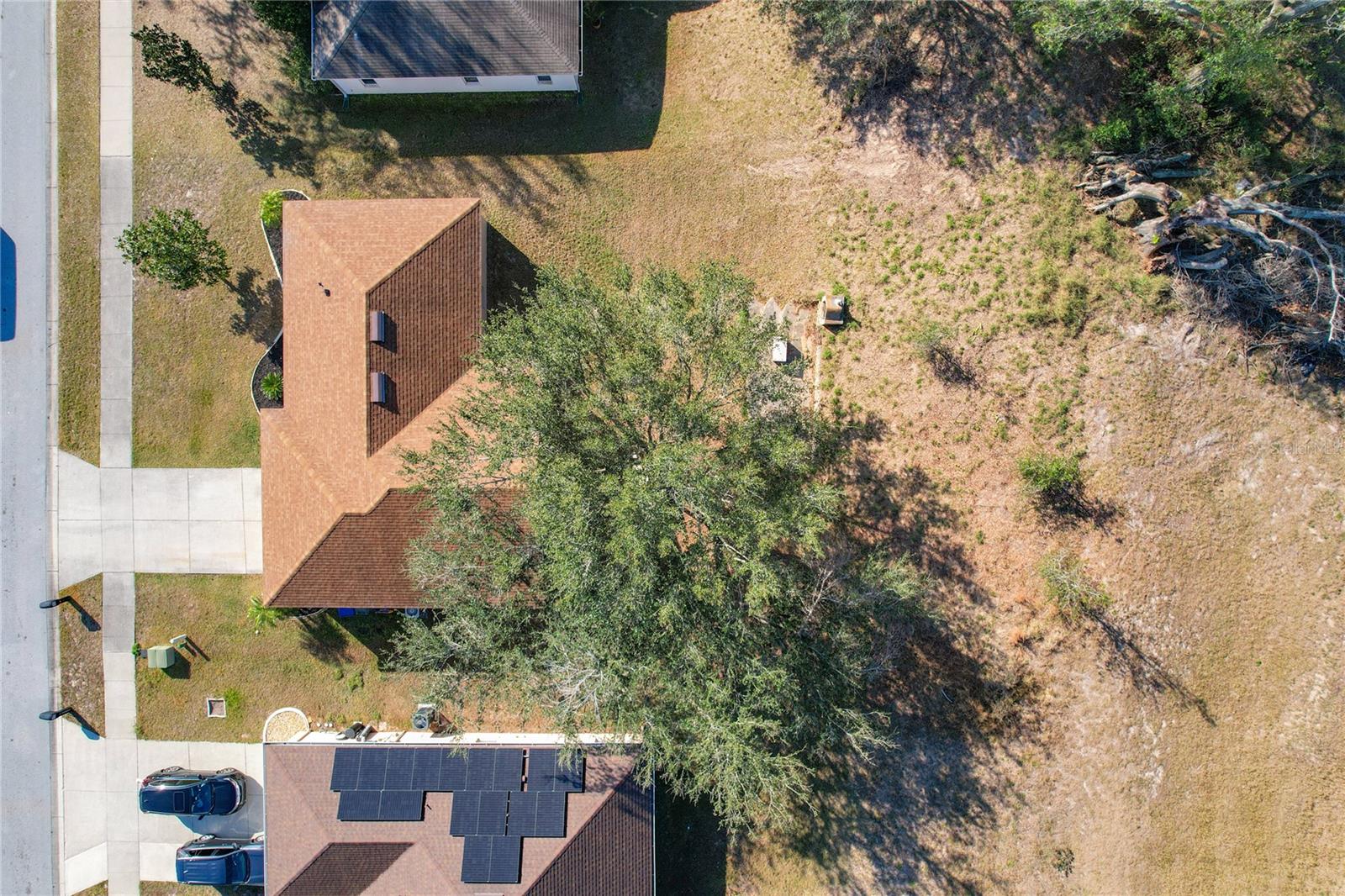 733 CHERRY LAUREL ST, MINNEOLA, FL, 34715