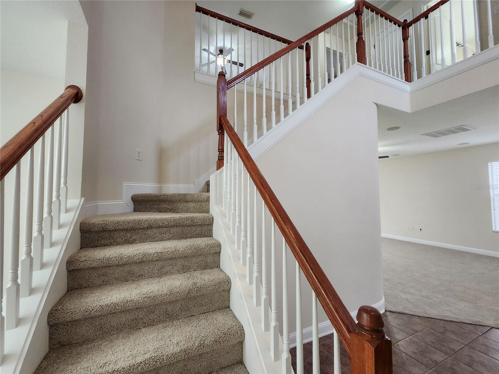 18501 CYPRESS BAY PKWY, LAND O LAKES, FL, 34638