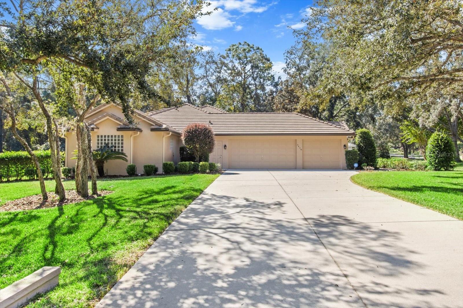 3458 W WILD DUNES PL, LECANTO, FL, 34461