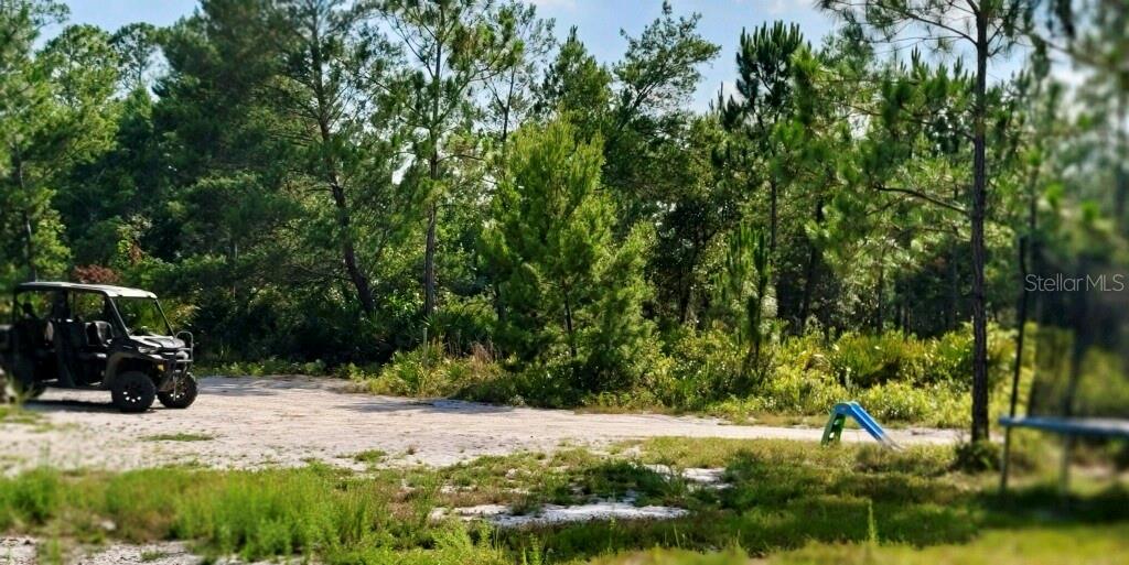 4130 SWAMP DEER RD, NEW SMYRNA BEACH, FL, 32168
