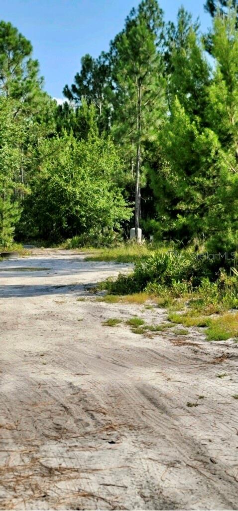 4130 SWAMP DEER RD, NEW SMYRNA BEACH, FL, 32168