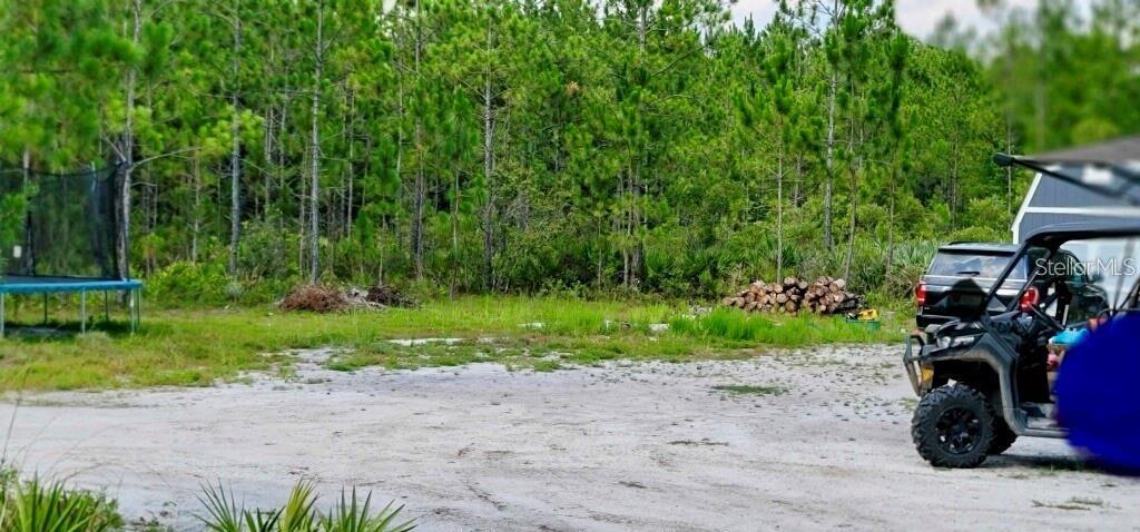 4130 SWAMP DEER RD, NEW SMYRNA BEACH, FL, 32168