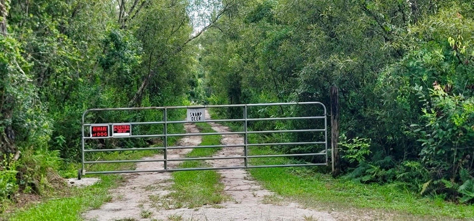 4130 SWAMP DEER RD, NEW SMYRNA BEACH, FL, 32168
