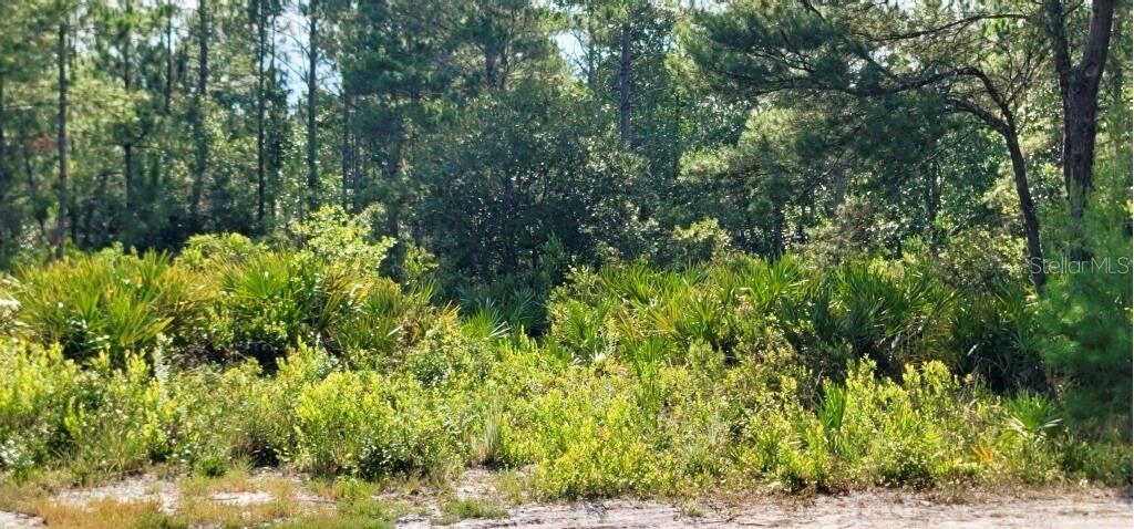 4130 SWAMP DEER RD, NEW SMYRNA BEACH, FL, 32168