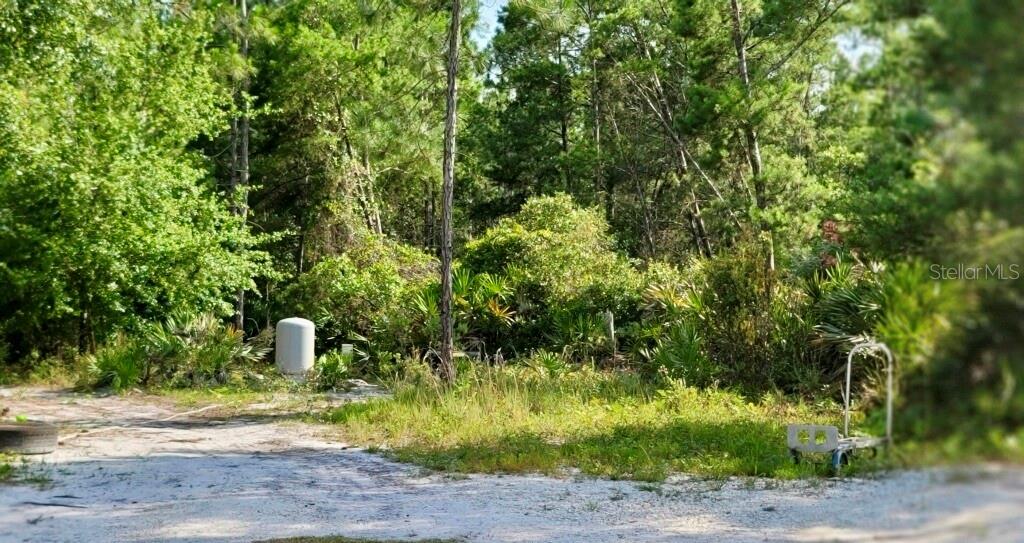 4130 SWAMP DEER RD, NEW SMYRNA BEACH, FL, 32168