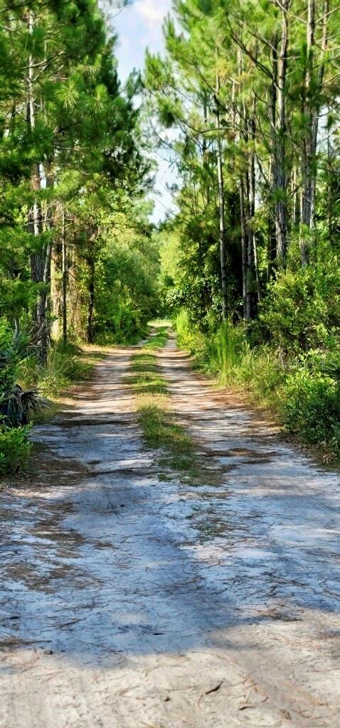 4130 SWAMP DEER RD, NEW SMYRNA BEACH, FL, 32168