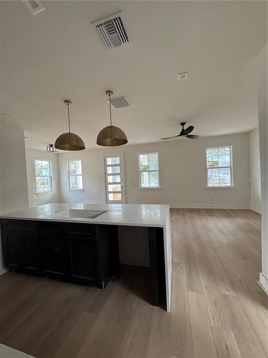 1317 WEBER ST, ORLANDO, FL, 32803