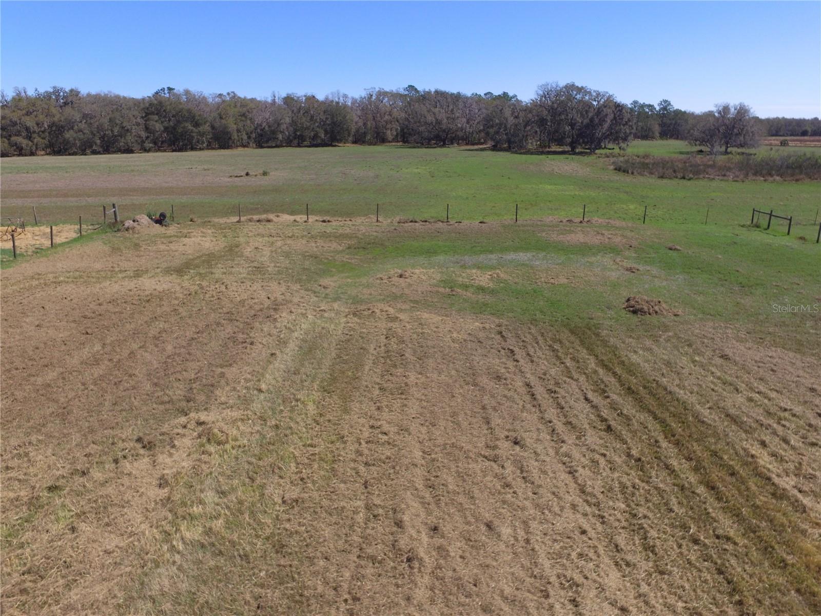 15373 EVANS RANCH RD, LAKELAND, FL, 33809