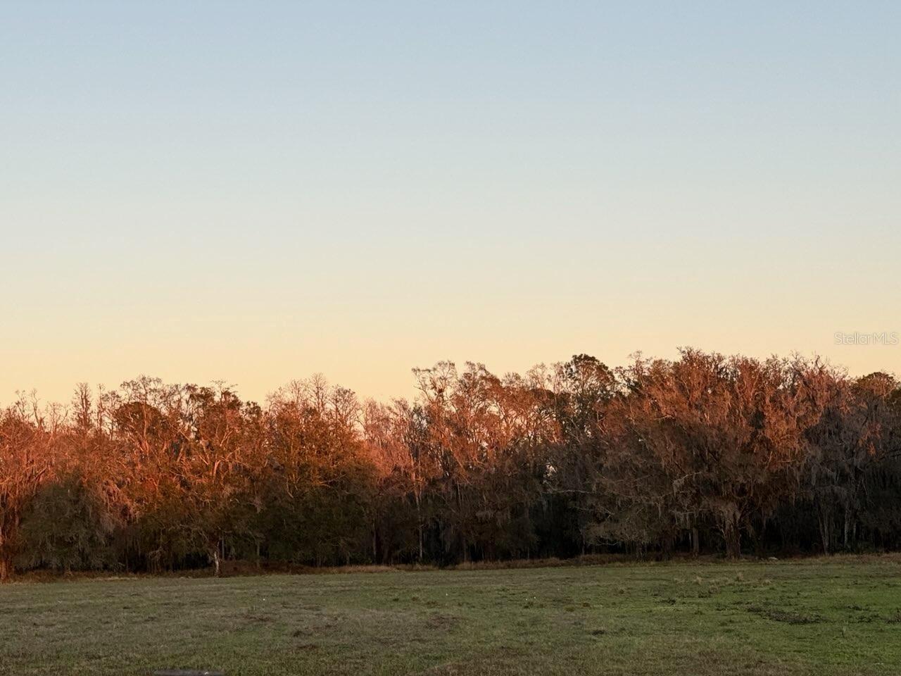 15373 EVANS RANCH RD, LAKELAND, FL, 33809