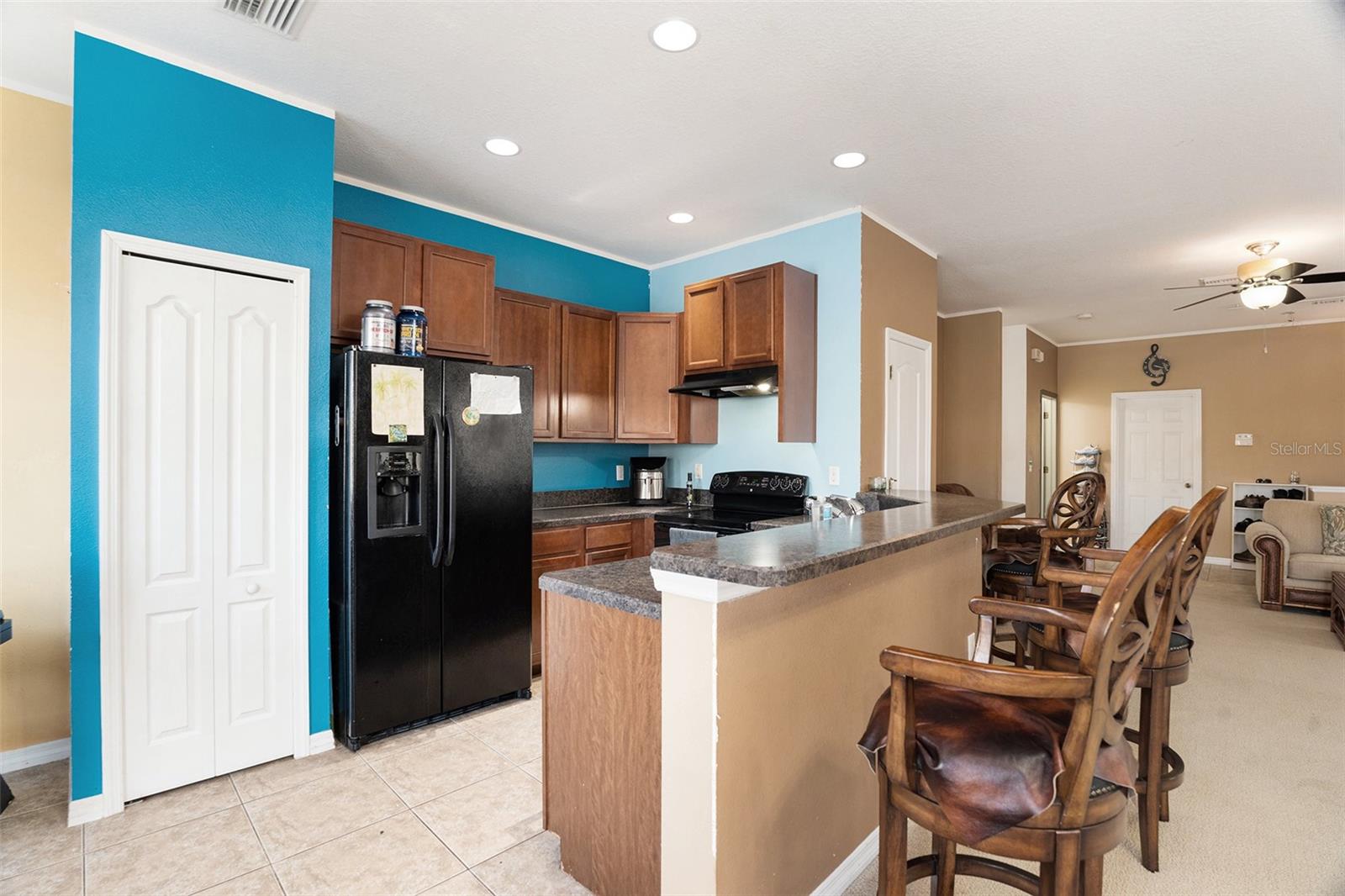 9111 MOONLIT MEADOWS LOOP, RIVERVIEW, FL, 33578