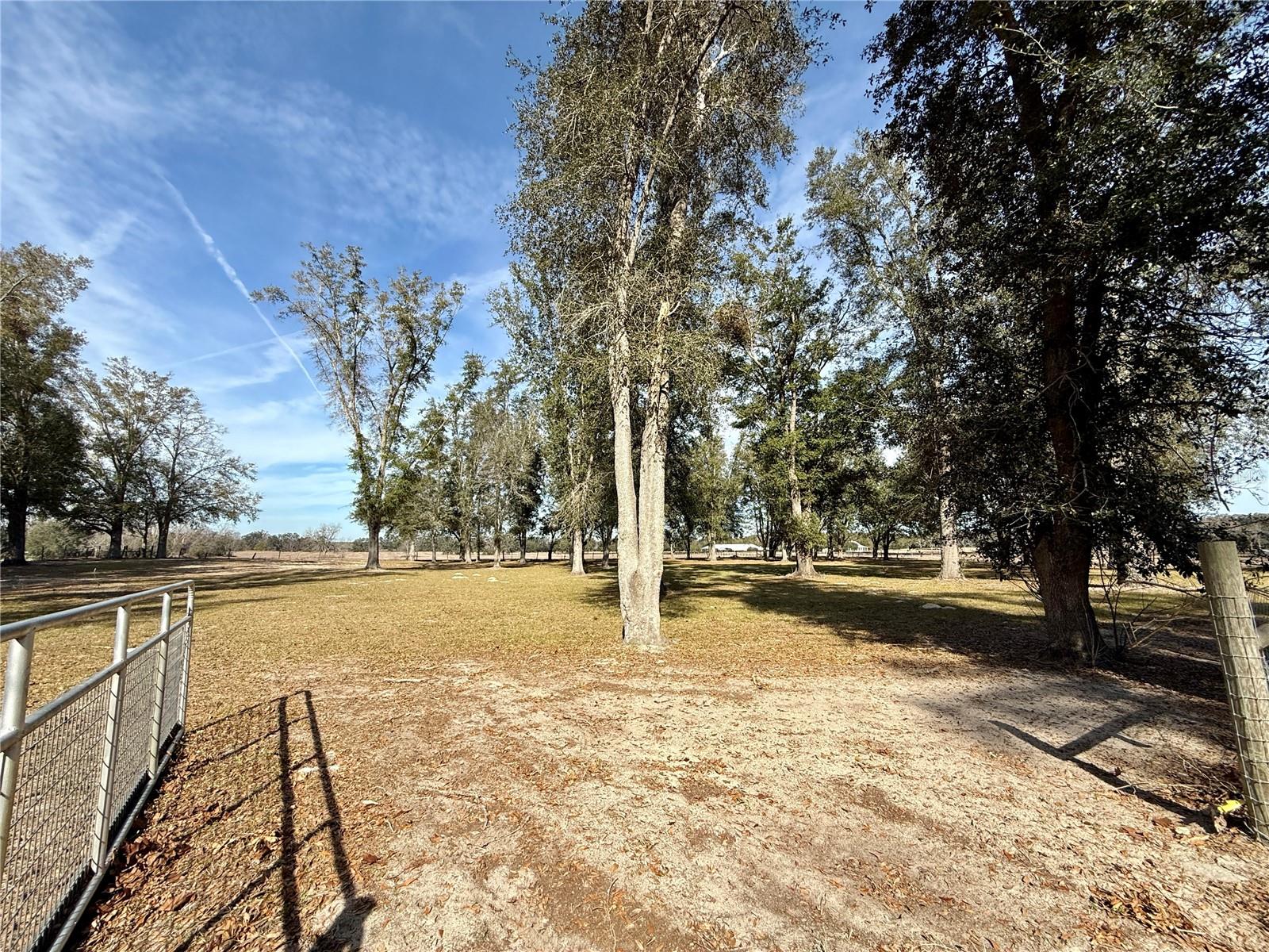 27910 NW 46TH AVE, NEWBERRY, FL, 32669