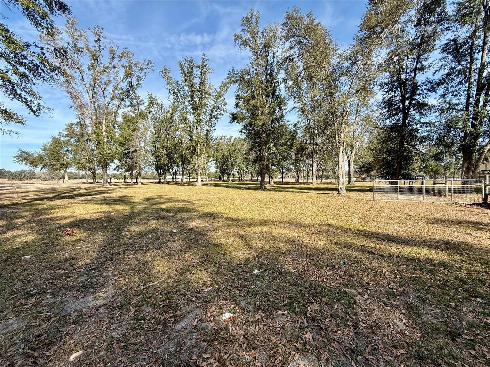 27910 NW 46TH AVE, NEWBERRY, FL, 32669