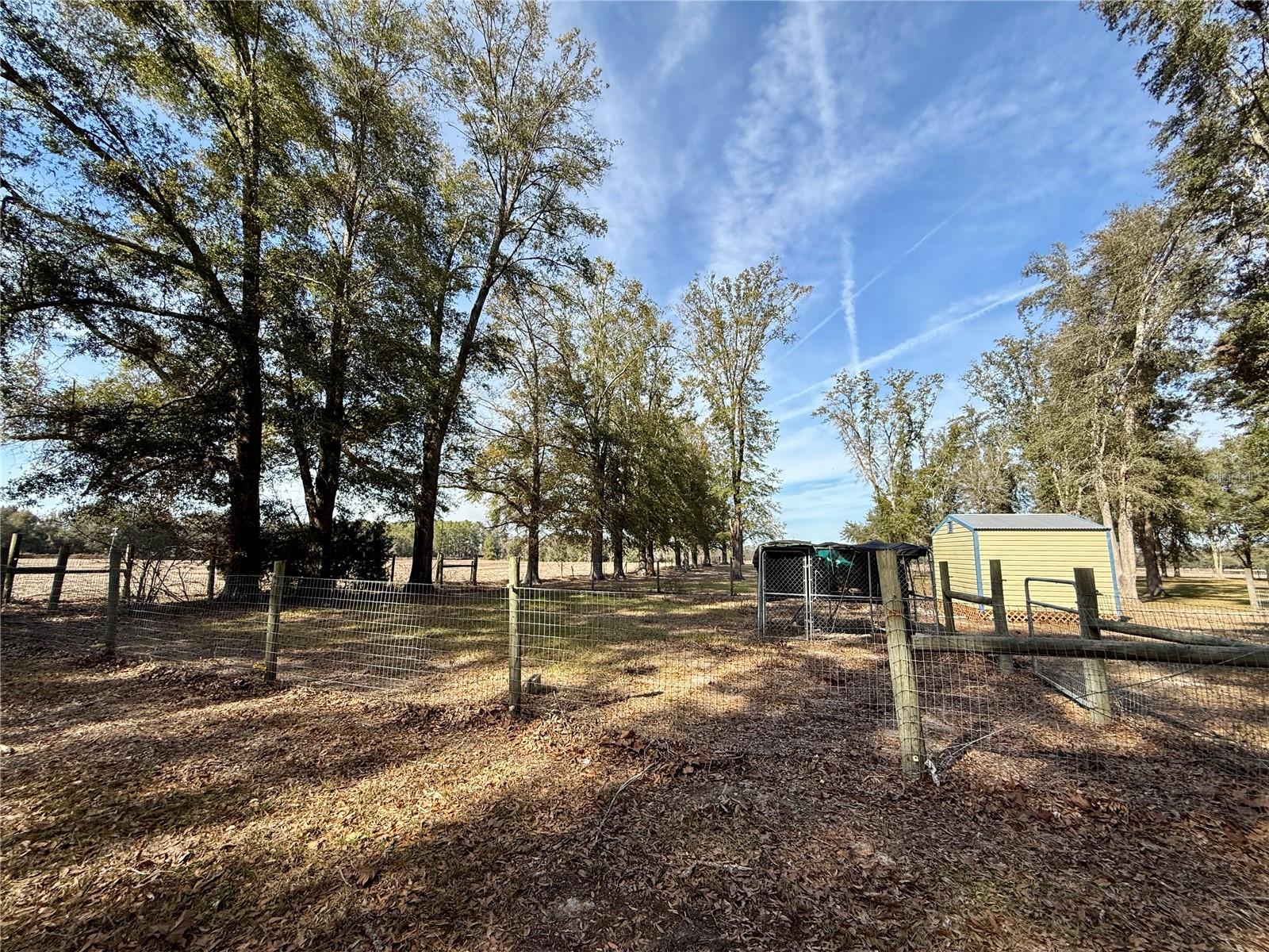 27910 NW 46TH AVE, NEWBERRY, FL, 32669