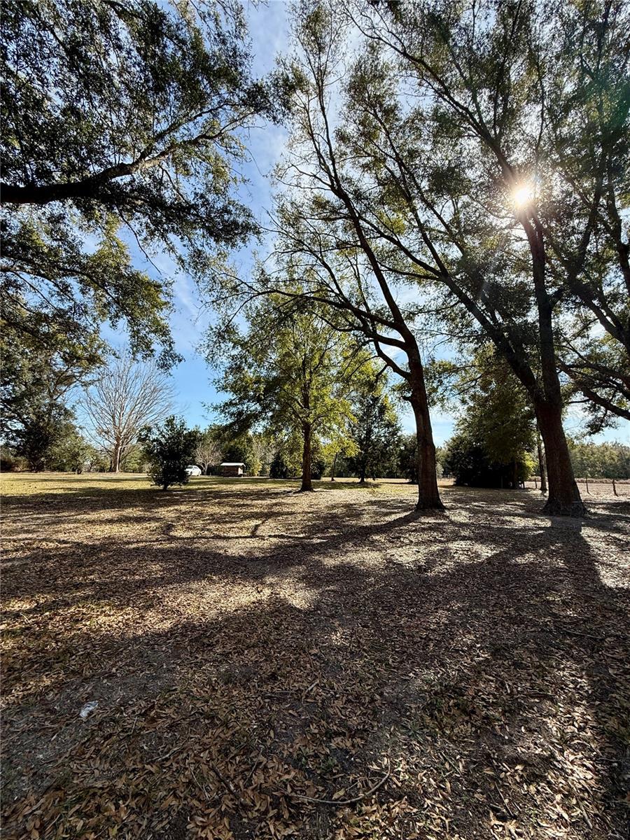 27910 NW 46TH AVE, NEWBERRY, FL, 32669