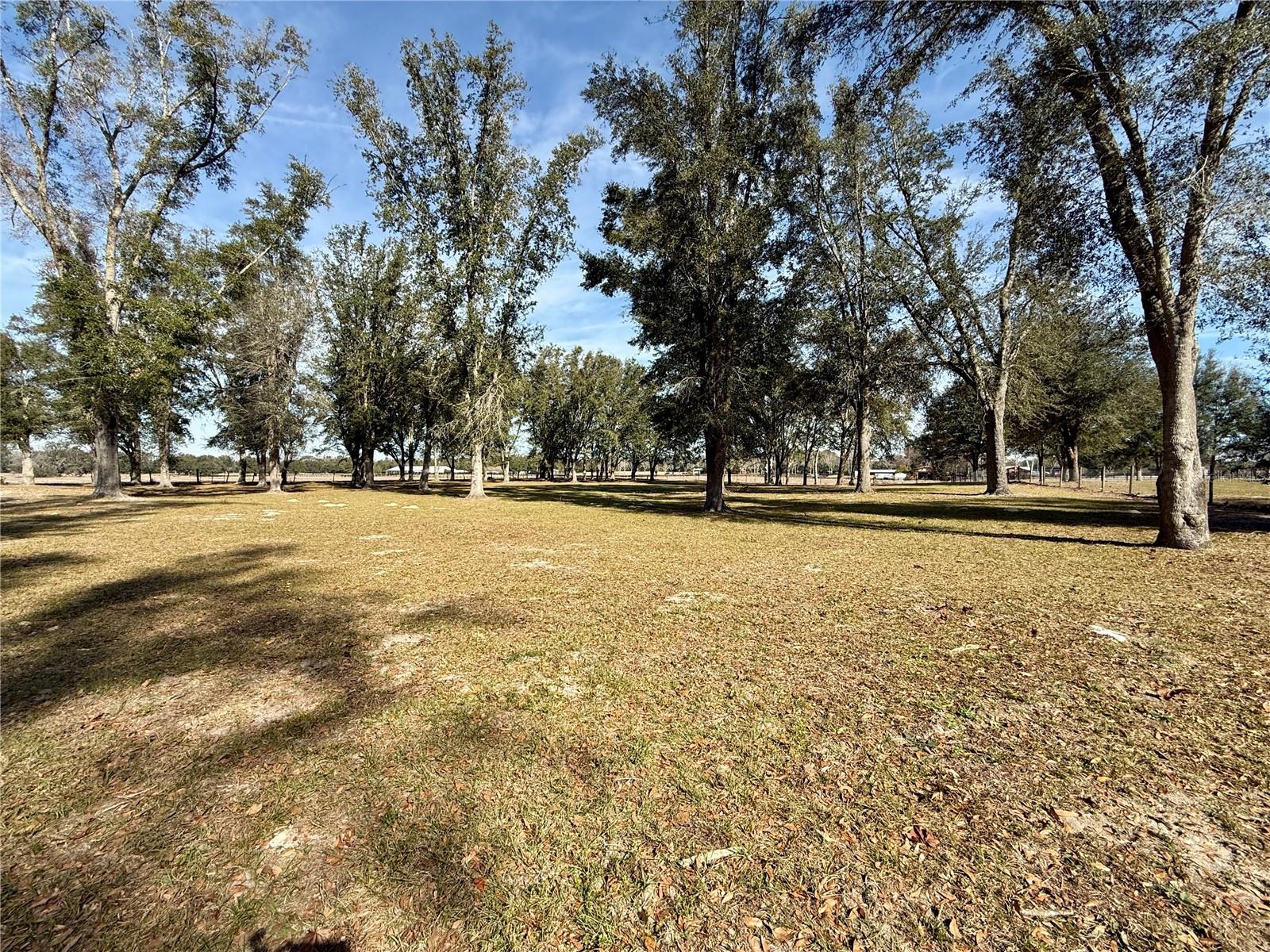 27910 NW 46TH AVE, NEWBERRY, FL, 32669