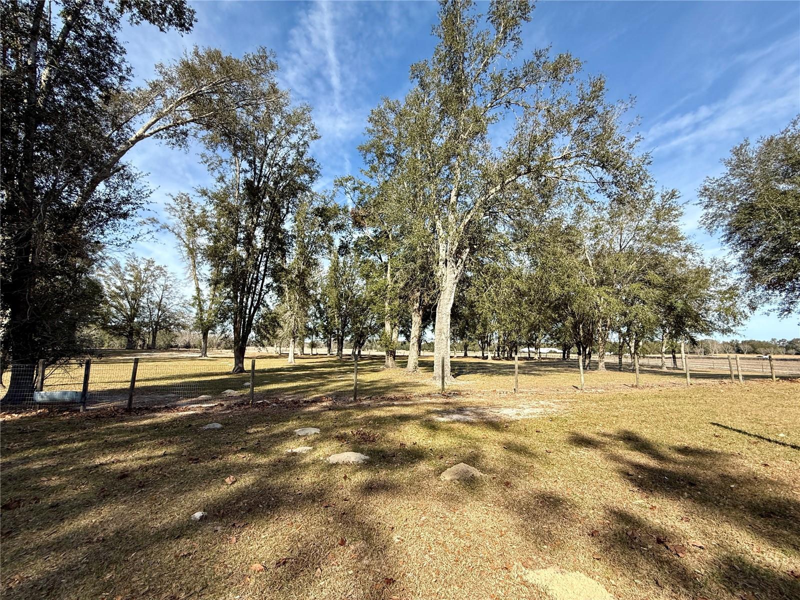 27910 NW 46TH AVE, NEWBERRY, FL, 32669