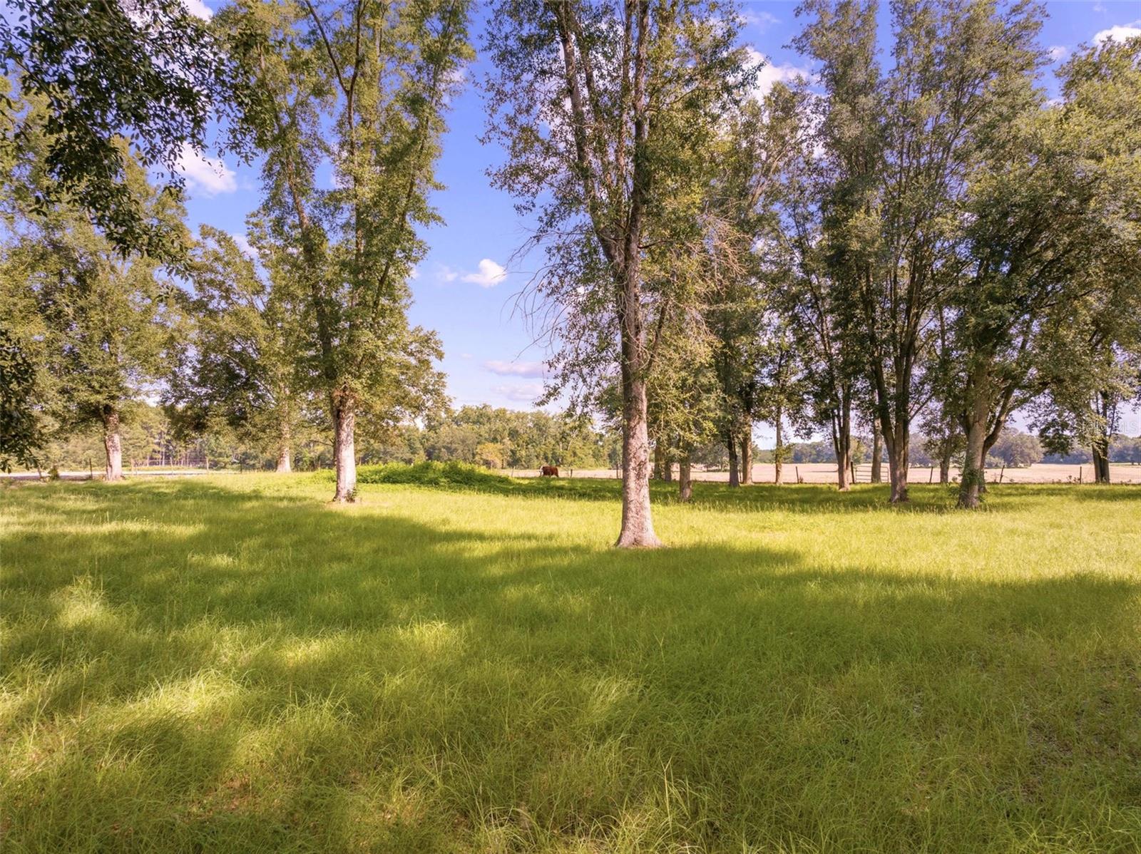 27910 NW 46TH AVE, NEWBERRY, FL, 32669
