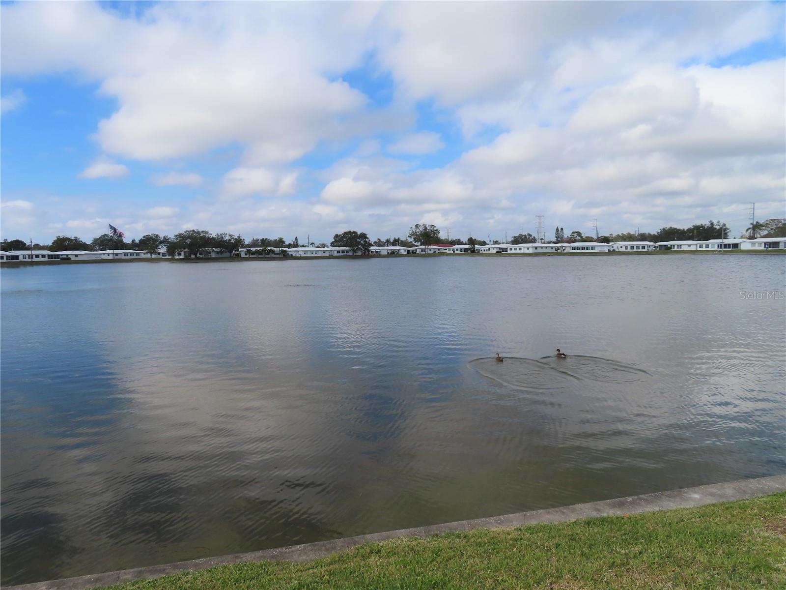 4251 96TH TER N, PINELLAS PARK, FL, 33782