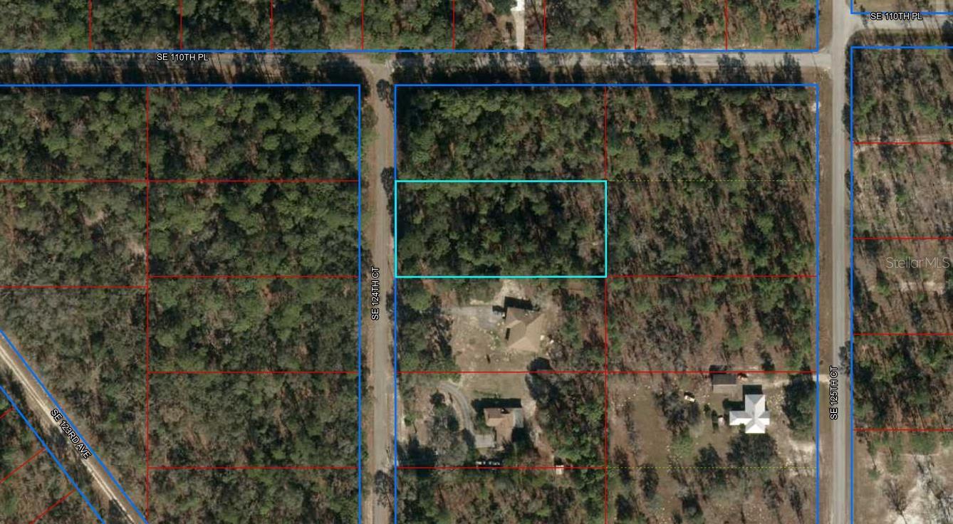 Lot 20 SE 124TH CT, DUNNELLON, FL, 34431